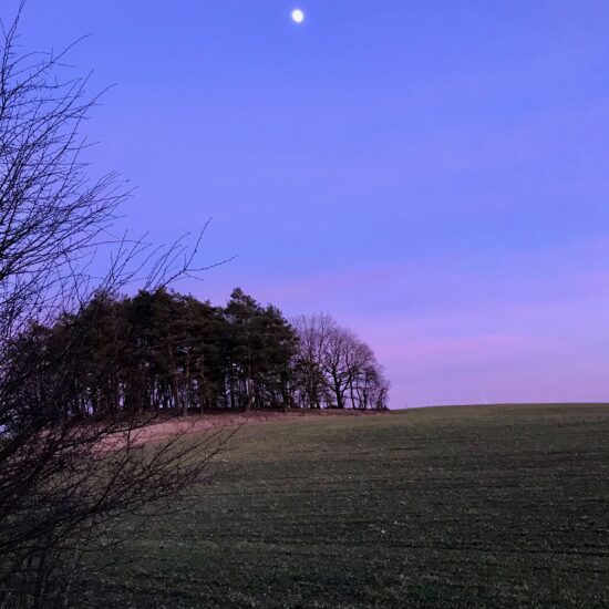 Wozu brauchen wir Trauer